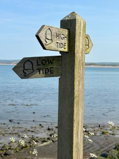 Think we'll take the low tide route